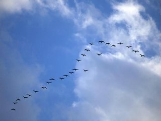 和唐林夫正字韵