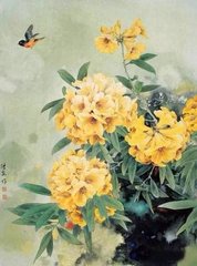 鹧鸪天·雁贴寒云次第飞