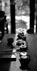 堂中以大盆渍白莲花石菖蒲翛然无复暑意睡起