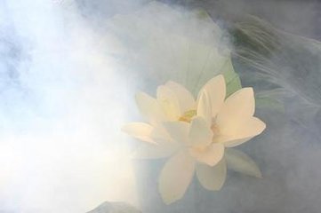 学道