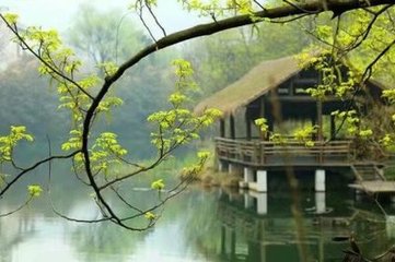 旧顿