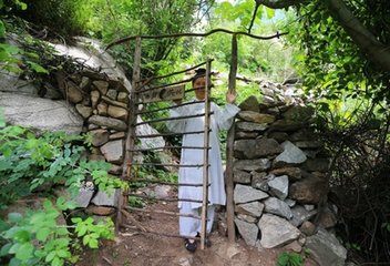 不食姑（一作赠山中女道士）