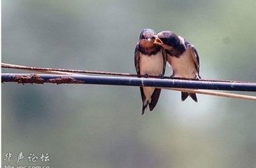 谒金门·春又老
