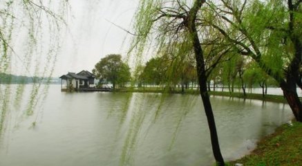 杂咏八首008