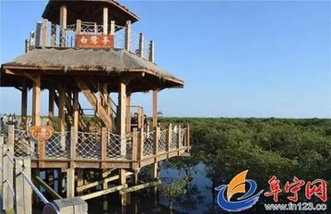 余读林子仁诗云君心恨不走天涯不比衰翁只恋