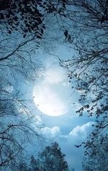 晚次苦竹馆，却忆干越旧游