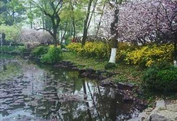 清明日醉普光阁上