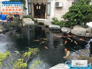 池上近作假山引水穿石撒珠其上亦有可观因成