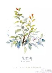 闲怨
