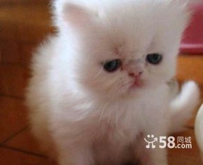 送人往长沙