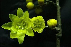劝我酒