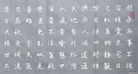 观梅偶成二首