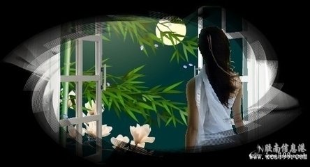 满江红 自述呈知己时有小言