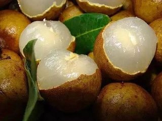 廉州龙眼质味殊绝可敌荔支