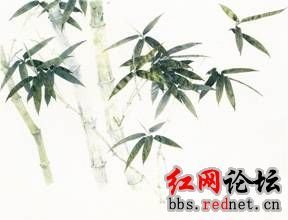 郡斋左偏栽竹百馀竿炎凉已周青翠不改而为墙垣…之趣