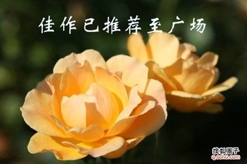 寄卢少尹