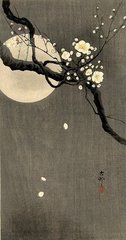 蝶恋花·南雁依稀回侧阵