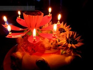 祝鹊