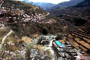 柳梢青·愁别欣逢