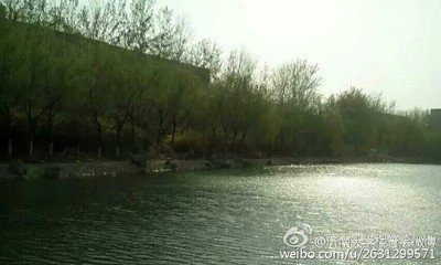 玉楼春 大德癸卯，子温佥宪济南，余奉使宜