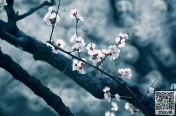 生查子·惆怅彩云飞