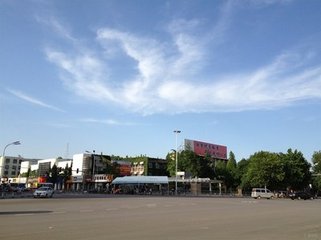 夏末野兴
