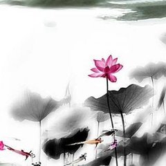 京师叛乱寄诸弟