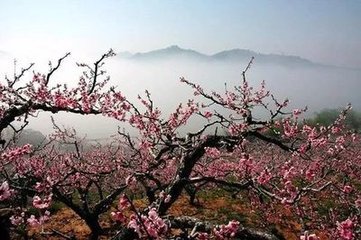 又闻湖南荆渚相次陷没