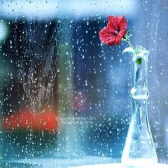 崇义里滞雨