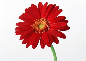 卜算子（答晋臣，渠有方是闲、真得归二堂）