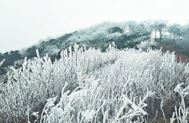 和陈鲁山十诗以孟夏草木长遶屋树扶疏为韵