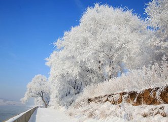 令狐相公见示题洋州崔侍郎宅双木瓜花顷…来什辄成和章