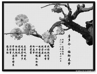 唐多令 拟龙洲 钱塘晓渡