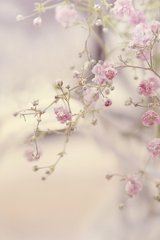 临江仙·丝雨如尘云著水