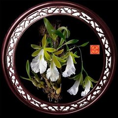 采桑子·年年此夕东城见