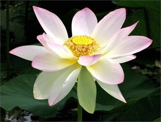 题汪水云诗十首