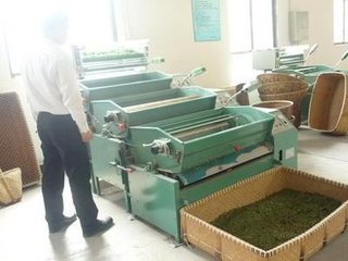 北苑十咏·采茶