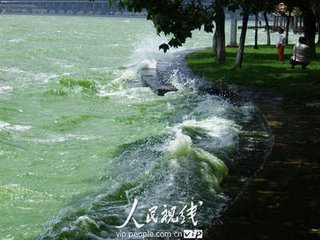 送叶镇之释褐授信州推官归台州