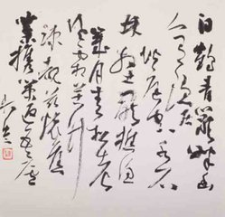 寻白鹤岩张子容隐居