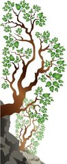 萧八明府实处觅桃栽