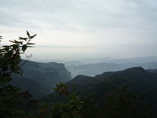 新居六咏·竹林隐居