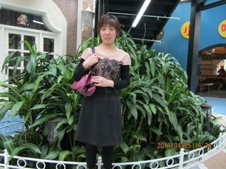 玉河堤上见新月时入直署中