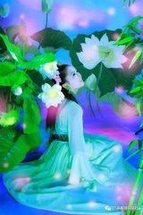 临江仙 对花怀洛阳旧游