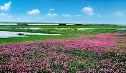 春过鄱阳湖