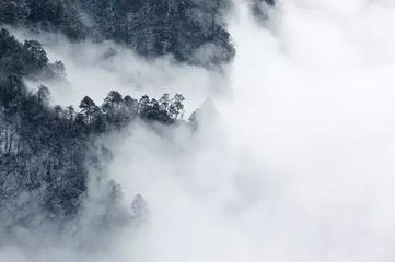 自戏三绝句。心问身