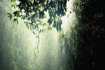 首夏闲居