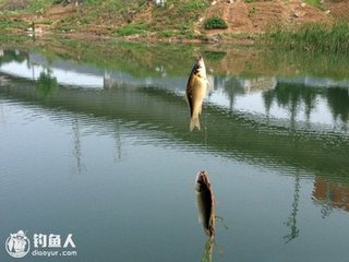 和仲严弟暮春二绝