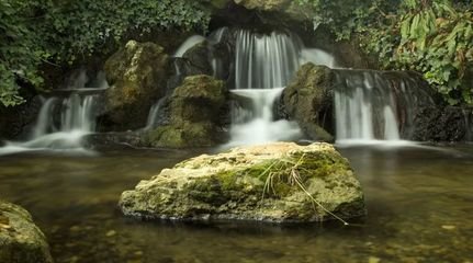 逢贾岛
