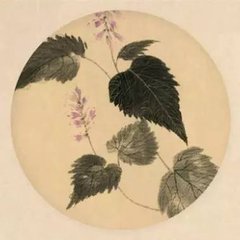铅丹