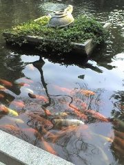 蜗牛